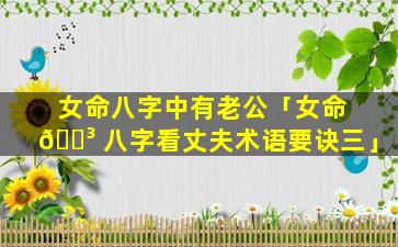 女命八字中有老公「女命 🌳 八字看丈夫术语要诀三」